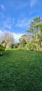 The Willows in Kerry