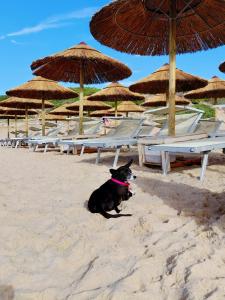 Il MoRo Tanca Piras img53