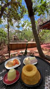 Nomato Cipó Studios