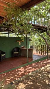 Nomato Cipó Studios