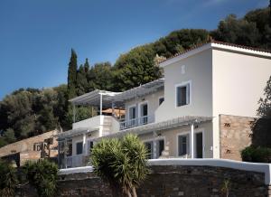 Villa Alisachni Andros