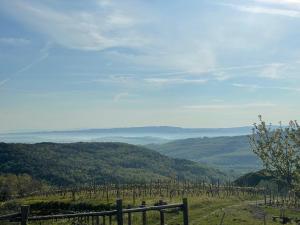 Countryhouse in Tuscany