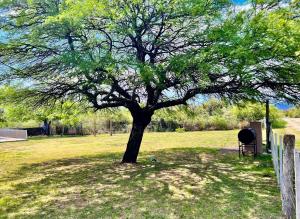 Aparts de Montaña Tavullia