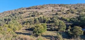 Tente Lodge transparente a 45 min de Nice VOIE LACTEE