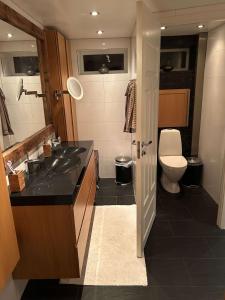 Spacious Scandinavian Villa in Stockholm