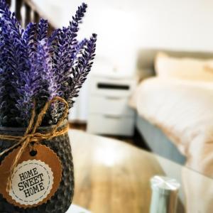 Király Apartment Unit 3