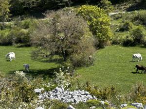 Tente Lodge transparente a 45 min de Nice VOIE LACTEE