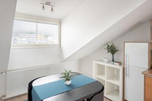 Citykoti Downtown Studios