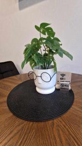 Trumpalaikė butų nuoma Kaune prie Klinikų STUDIJA B SELF CHECK IN