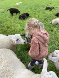 Newly built apartment next door to the sheep