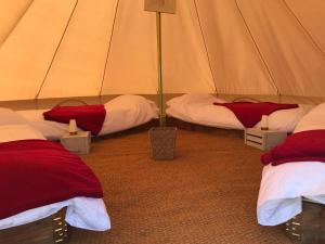 Isle of Man TT Campsite - IOMTT Colby Glamping