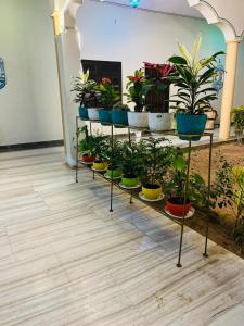 Hotel Mewad Haveli Pushkar