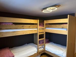 Premium Apartment Grischunaweg mit Silvrettablick