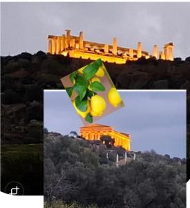 Le Lumìe "Bed end Kitchen"