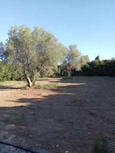 Casa Fermata Punta Moro