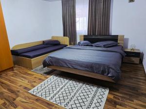 Casa Trandafirilor Calimanesti