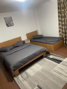 Casa Trandafirilor Calimanesti