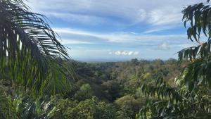 Beautiful view cabin in Boquete