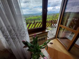 Kosówka w Bukowinie Tatrzańskiej