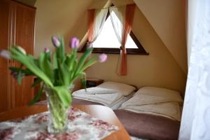 Kosówka w Bukowinie Tatrzańskiej