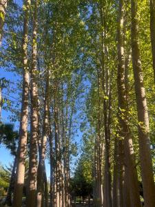 Parcela Tierra Fértil