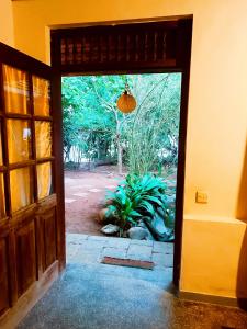 Dreamy Lagoon Guest House