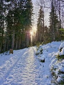 Horský apartmán Mia Bedřichov
