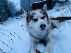 Horský apartmán Mia Bedřichov