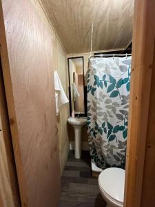 Mini Departamento, Mono Ambiente Pucon