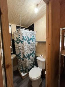 Mini Departamento, Mono Ambiente Pucon