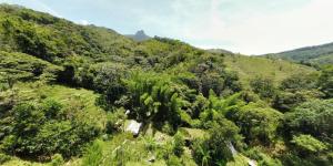 Familia Verde Eco Hostal