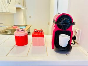 Le petit Royaume des princesses 14 min Disneyland