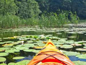 Dom nad jeziorem Morenowe Wzgórze