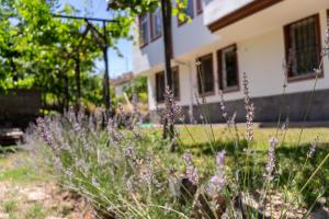 Cappadocia Beyaz Konak 2