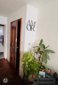 Quarto em apartamento aconchegante no carnaval