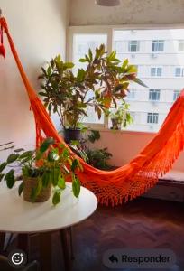 Quarto em apartamento aconchegante no carnaval