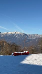 Maso K La Mucca Rossa