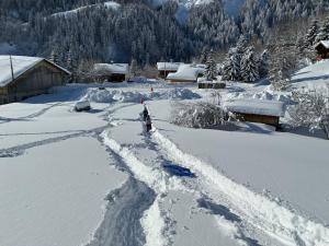 la calèche, rez de jardin, garden floor
