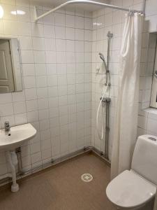 Beautiful house in Old Uppsala