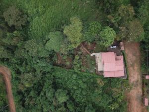 Beautiful house surrounded by nature to relax