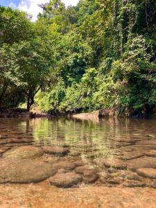 Beautiful house surrounded by nature to relax