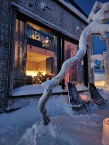 Levi Secret Igloo Ruska