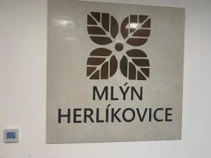 Apartmán Anetta Herlíkovice - 45m2 with balkony near cable car to hill Žalý and ski slope