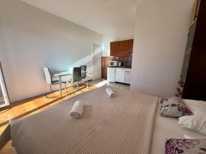 New! Apartment Complex "S"