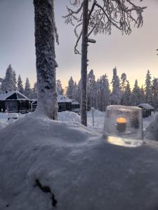 Levi Secret Igloo Ruska