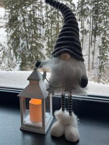 Apartmán Herlíkovice 303