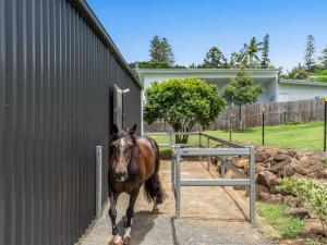 Lennox Meadows | Winter Escape Deal | Stay Longer & Save | 1 June – 31 August