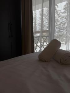 Sophie & Sarah Apartments - Residence Hill, Kopaonik