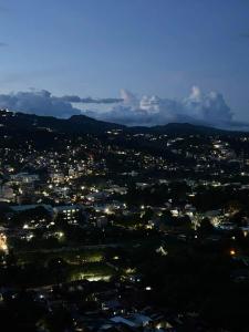 Avida Riala IT Park 21st Floor Studio with Mountain & City View