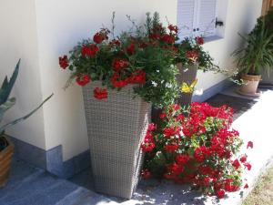Garni Hattlerhof B&B